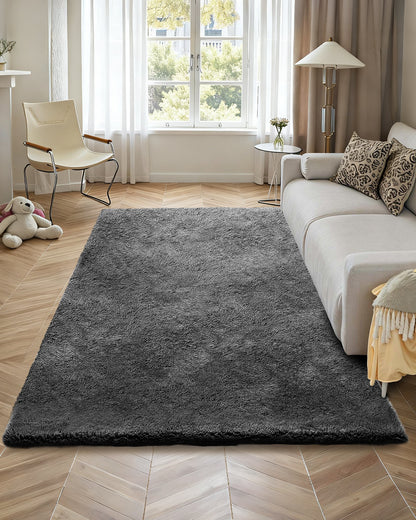 Indoor Plush Area Rugs, 5 x 8 ft Soft Plush Carpet, Furry Shag Area Rugs for Living Room, Bedroom, Sunroom, Modern Home Decor Aesthetic, Non-Shedding, Non-Woven, Slip-Resistant, Dark Gray