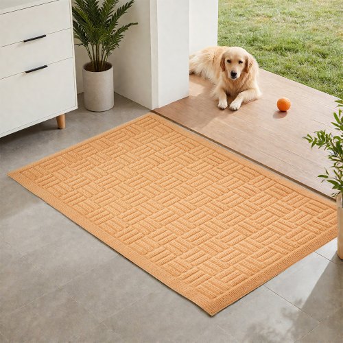 Door Mat, 29.53 x 17.72 Inch, Front Door Mat Outside Entrance with Non-slip Rubber Backing, Dirt-Resistant & Absorbent, Easy to Clean, Low-Profile Doormat for for Entryway, Patio, Porch, Beige