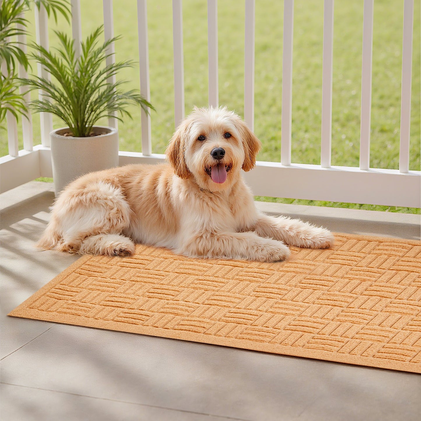 Door Mat, 29.53 x 17.72 Inch, Front Door Mat Outside Entrance with Non-slip Rubber Backing, Dirt-Resistant & Absorbent, Easy to Clean, Low-Profile Doormat for for Entryway, Patio, Porch, Beige