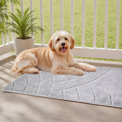 Door Mat, 35.83 x 24.02 Inch, Front Door Mat Outside Entrance with Non-slip TPR Backing, Dirt-Resistant & Absorbent, Easy to Clean, Low-Profile Doormat for for Entryway, Patio, Porch, Grey