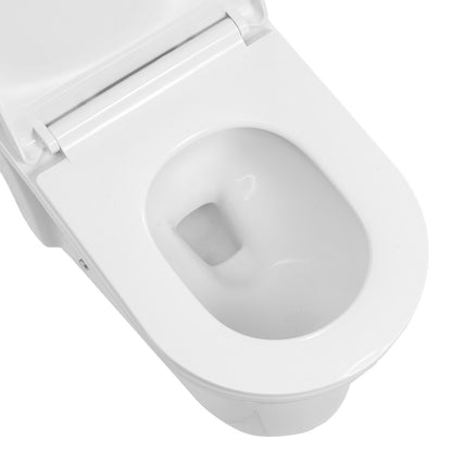 One-Piece Toilet, Elongated Toilet Vortex Dual-Flush 1.1/1.6 GPF, Toilets for Bathroom with Comfortable Chair Seat, Standard Height, Easy-Clean Skirted Design, 12 inch Rough-In, White + Silver