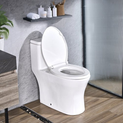 One-Piece Toilet, Elongated Toilet Vortex Dual-Flush 1.0/1.28 GPF, Toilets for Bathroom with Comfortable Chair Seat, Standard Height, Easy-Clean Skirted Design, 12 inch Rough-In, White + Silver