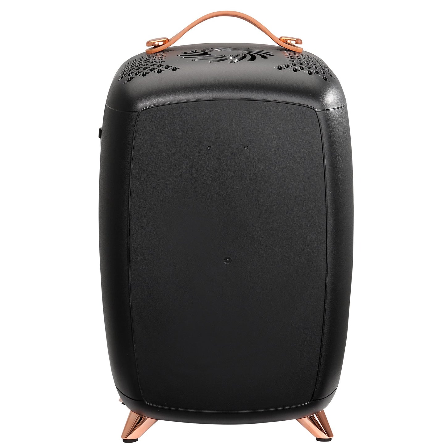 Mini-Kühlschrank, 6 l/8 Dosen, kompakter persönlicher Kühlschrank, tragbarer thermoelektrischer AC/DC-Kühl- und Wärmekühlschrank, Hautpflegekühlschrank für Getränke, Snacks, Zuhause, Büro und Auto, CE-gekennzeichnet (schwarz)