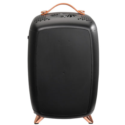 Mini-Kühlschrank, 6 l/8 Dosen, kompakter persönlicher Kühlschrank, tragbarer thermoelektrischer AC/DC-Kühl- und Wärmekühlschrank, Hautpflegekühlschrank für Getränke, Snacks, Zuhause, Büro und Auto, CE-gekennzeichnet (schwarz)