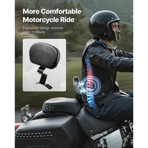 Motorrad Rückenlehne Sissy Bar für Harley-Davidson Touring 310mm | EU