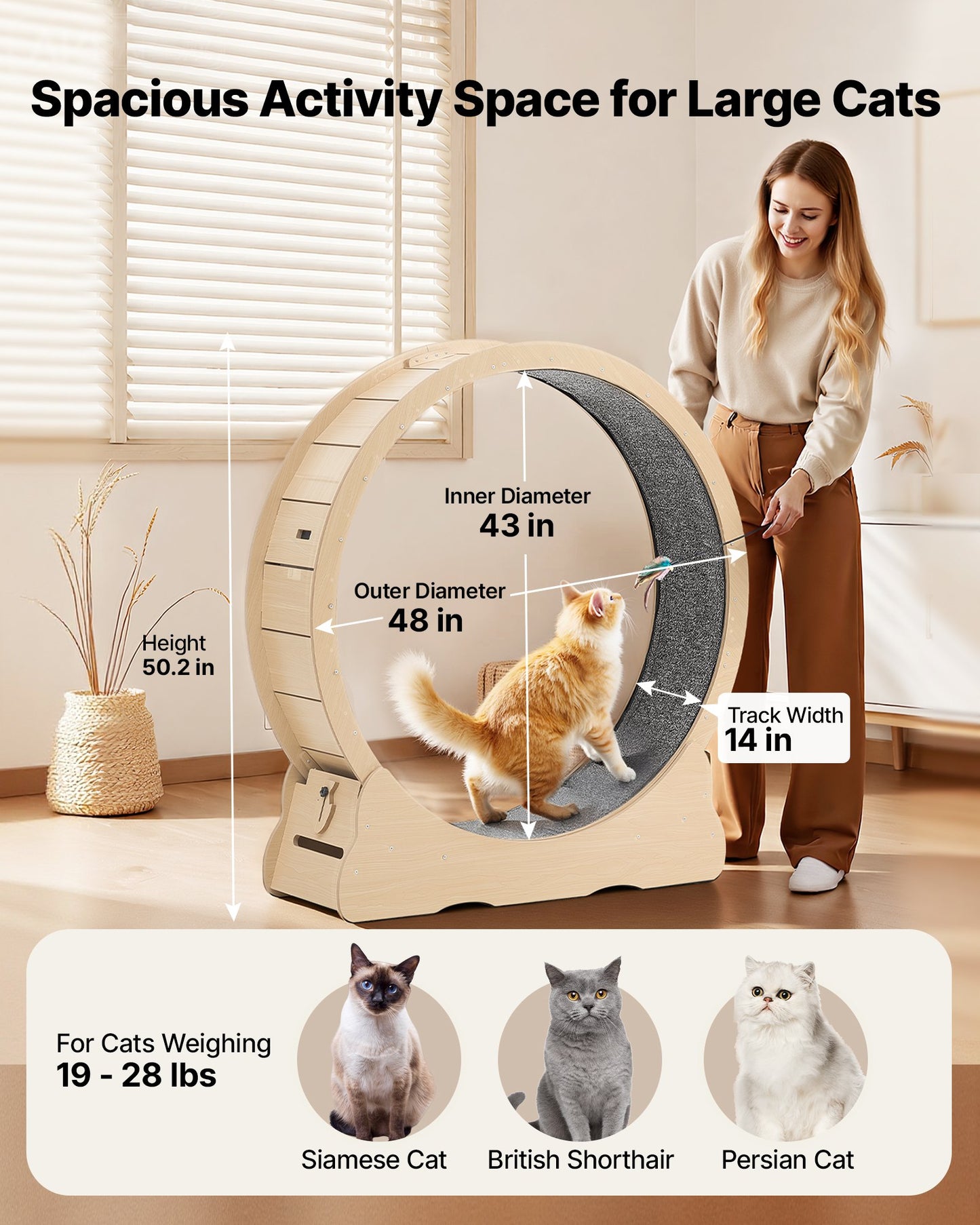 Cat Exercise Wheel, 48 in Wooden Cat Running Wheel for Indoor Cats up to 28 lbs, Cats Treadmill with Carpeted Runway & Locking Mechanism, Quiet Roller Kitten Sport Toys for Pets Fitness & Health