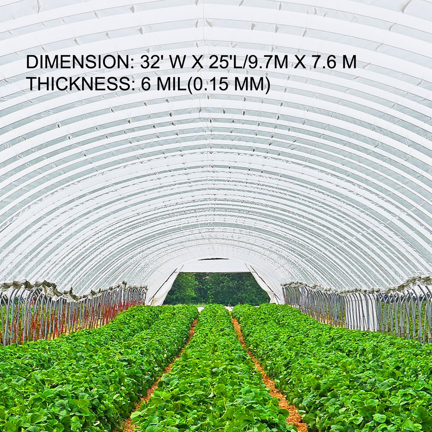 Greenhouse Film 32 x 25 ft, Greenhouse Polyethylene Film 6 Mil Thickness, Greenhouse Plastic Clear Plastic Film UV Resistant, Polyethylene Film Keep Warming, Superior Strength Toughness