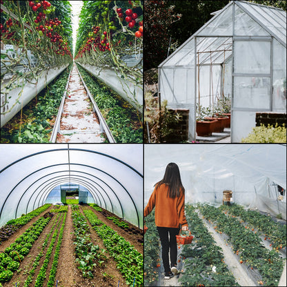 Greenhouse Film 32 x 25 ft, Greenhouse Polyethylene Film 6 Mil Thickness, Greenhouse Plastic Clear Plastic Film UV Resistant, Polyethylene Film Keep Warming, Superior Strength Toughness