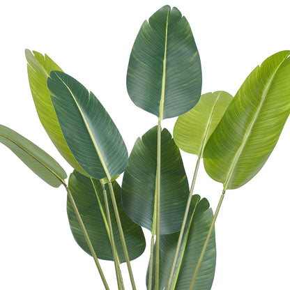 Artificial Birds of Paradise, 1.5m Tall Artificial Plant, PE Material and Tip-over Protection, Low Maintenance Plant, Lifelike Green Fake Tree for Home Office Warehouse Decor Indoor Outdoor