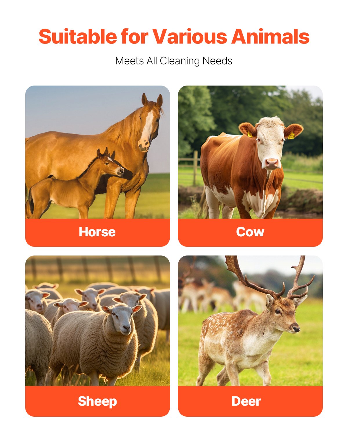 Cattle Scratching Brush 6pcs Itch Relief Horse Scratching Brush 20 inch