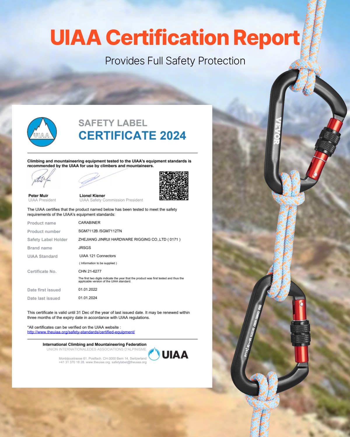 Climbing Carabiner Clips, 3 PCS Heavy Duty Caribiner, Professional 30 KN / 6744 lbs Spindle Strength, Large D-Shaped for Hiking,Rappelling,Rescue,Dog Leash,Hammocks, Swings