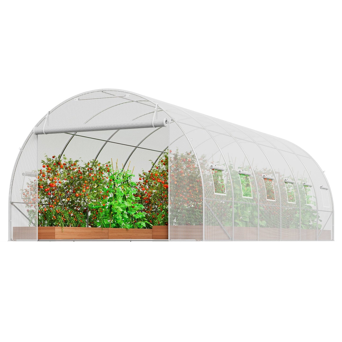 Walk-in Tunnel Greenhouse 19.36x9.68x6.5ft Galvanized Frame PE Cover White