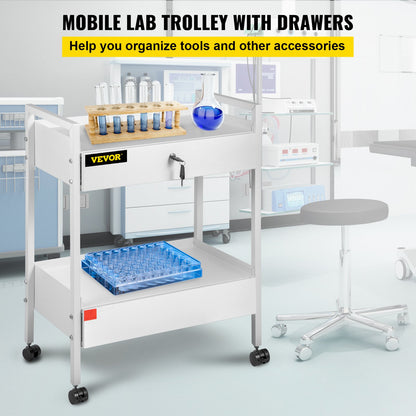 Lab Cart, 2 Tier Stainless Steel Utility Cart Medical Cart 2 Drawers Rolling Lab Cart White Color Serving Cart with 360° Wheels for Laboratory Hospital Dental Salon Beauty
