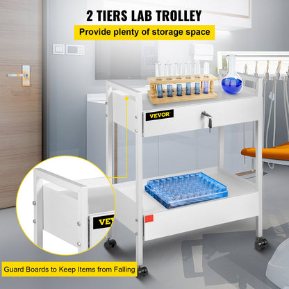 Lab Cart, 2 Tier Stainless Steel Utility Cart Medical Cart 2 Drawers Rolling Lab Cart White Color Serving Cart with 360° Wheels for Laboratory Hospital Dental Salon Beauty