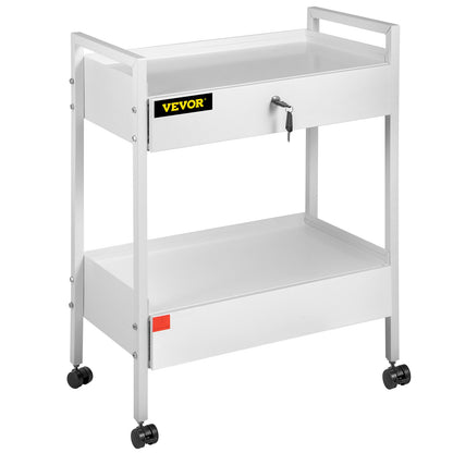 Lab Cart, 2 Tier Stainless Steel Utility Cart Medical Cart 2 Drawers Rolling Lab Cart White Color Serving Cart with 360° Wheels for Laboratory Hospital Dental Salon Beauty