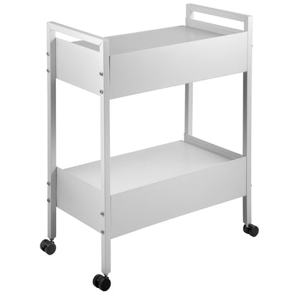 Lab Cart, 2 Tier Stainless Steel Utility Cart Medical Cart 2 Drawers Rolling Lab Cart White Color Serving Cart with 360° Wheels for Laboratory Hospital Dental Salon Beauty