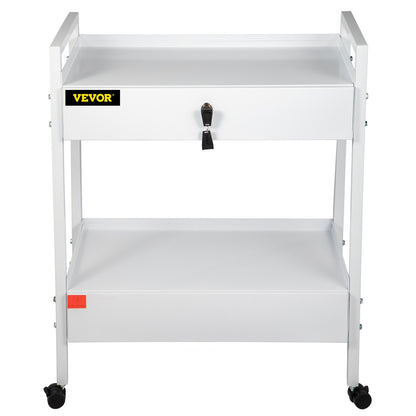 Lab Cart, 2 Tier Stainless Steel Utility Cart Medical Cart 2 Drawers Rolling Lab Cart White Color Serving Cart with 360° Wheels for Laboratory Hospital Dental Salon Beauty