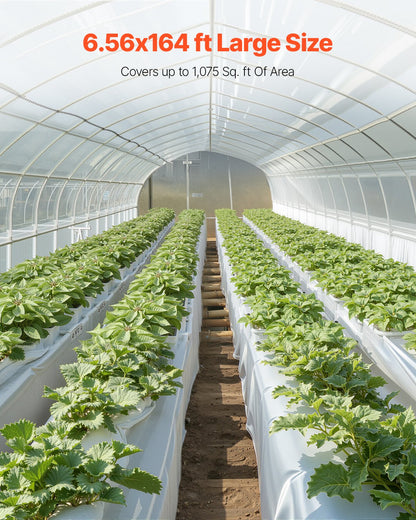 8Mil plastfolierulle 6,5 x 164 FT Heavy Duty polyetengrå