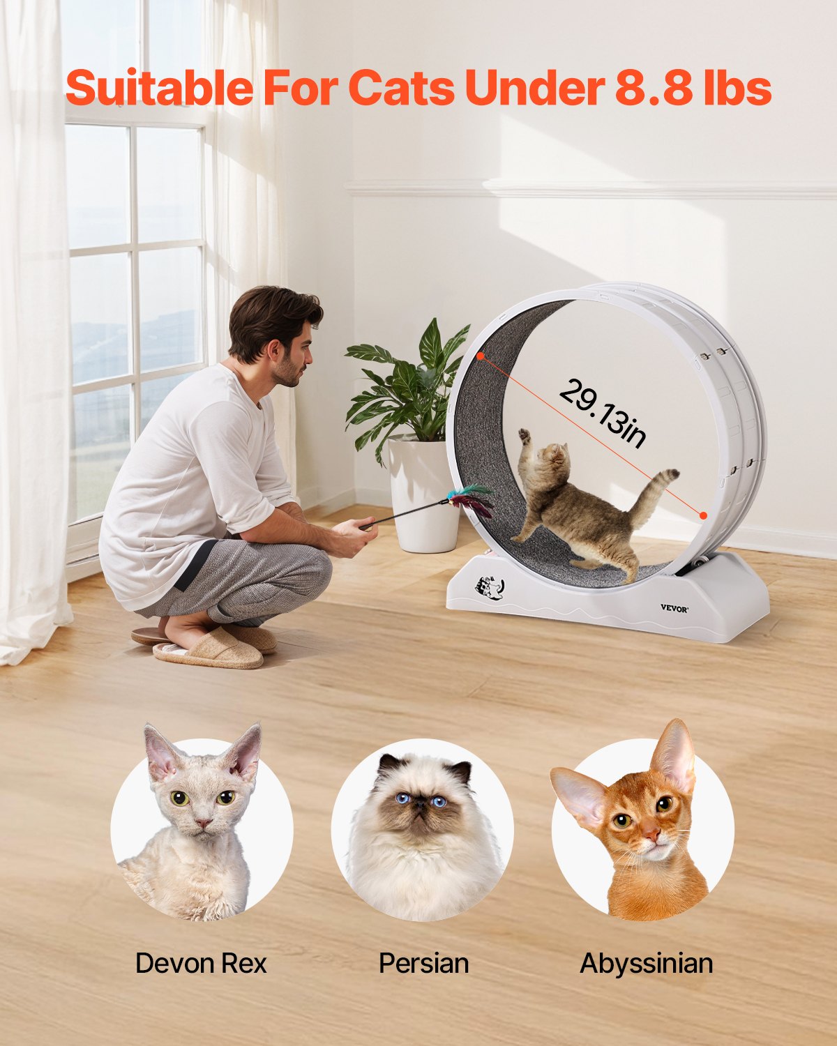 Cat Träningshjul 31.5 i Large Indoor Cat Running Wheel Löpband Vit