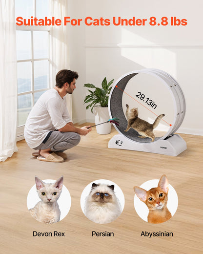 Cat Träningshjul 31.5 i Large Indoor Cat Running Wheel Löpband Vit