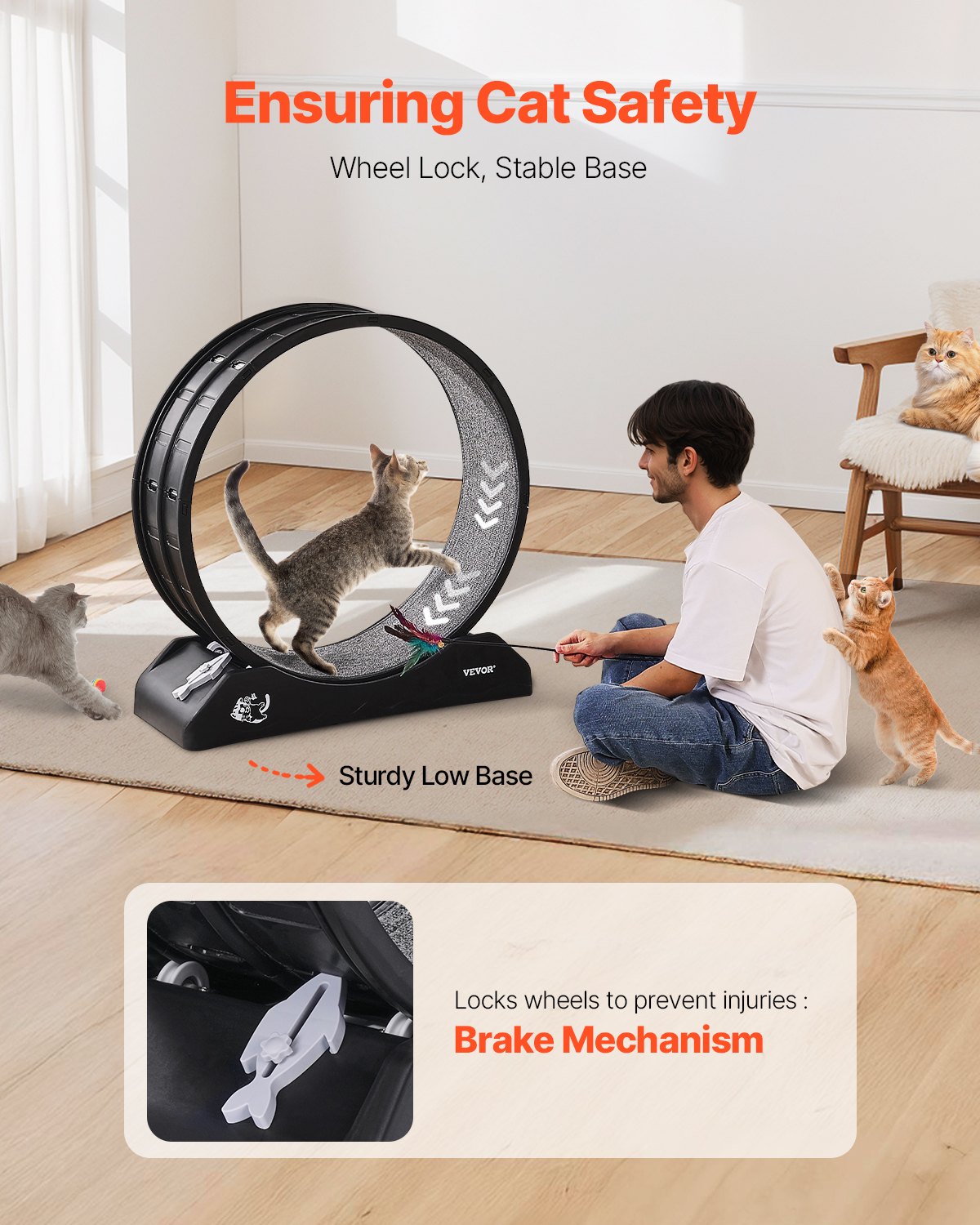 Katzen-Trainingsrad 31,5 Zoll großes Indoor-Katzenlaufrad Laufband Schwarz