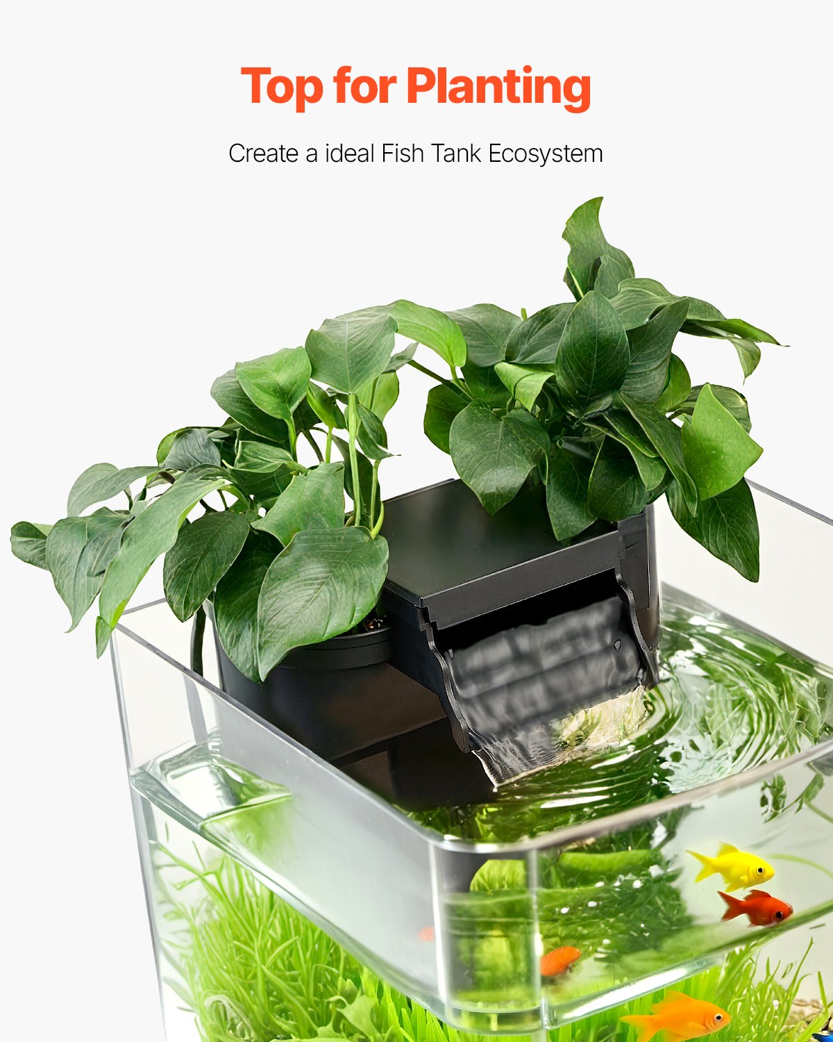 Fish Tank Aquarium, 2 Gallon Arch Ultra-Clear GPPS Starter Smart Tank Adjustable 3 Color Lighting, Self Cleaning System Fishbowl for Freshwater & Saltwater Fish Home, Office, or Pet Use