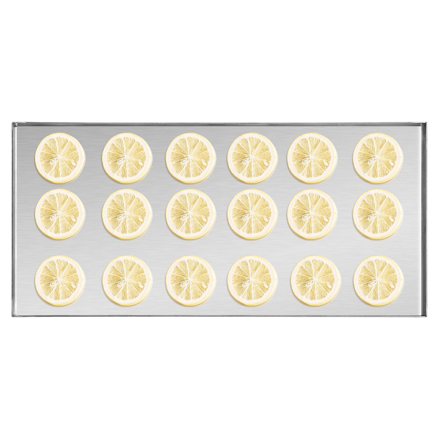 Vacuum Freeze Dryer 4-Layer Fruit Vegetable Freeze Drying Machine White