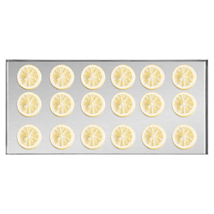 Vacuum Freeze Dryer 4-Layer Fruit Vegetable Freeze Drying Machine White