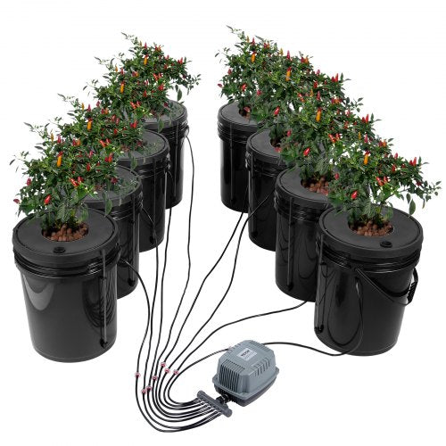 DWC Hydroponic System, 5 Gallon 8 Buckets, Deep Water Culture Growing Bucket, Hydroponics Grow Kit with Pump, Air Stone and Water Level Device, for Indoor/Outdoor Leafy Vegetables