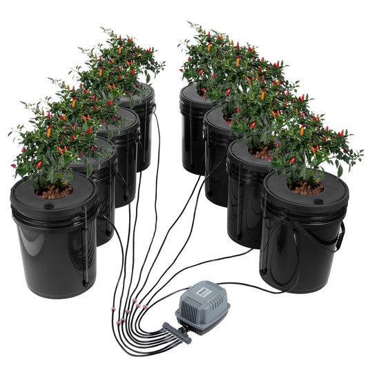 DWC Hydroponics Grow System Deep Water Culture 8 Eimer mit Luftpumpe