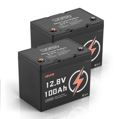 2 Pack 12V 100Ah LiFePO4 Battery, Up to 15000 Cycles, Deep Cycle Lithium Iron Phosphate Battery with Built-in BMS, Low Temp Protection, 10 Years Lifetime, for Solar Off-Grid Home Energy Storage