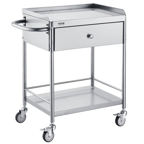 Medical Cart, 2-Layer Stainless Steel Cart 220 lbs Weight Capacity, Lab Utility Cart with 360° Silent Wheels and a Drawer for Lab, Clinic, Kitchen, Salon