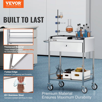 Medical Cart, 2-Tier Stainless Steel Trolley 220 lbs Weight Capacity, Lab Utility Cart with 360° Silent Wheels and a Drawer for Lab, Clinic, Kitchen, Salon