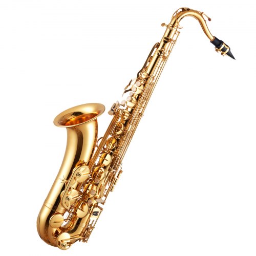 Gold Brass Tenor Saxophone B Flat Sax Beginner Kit with Mouthpiece | EU