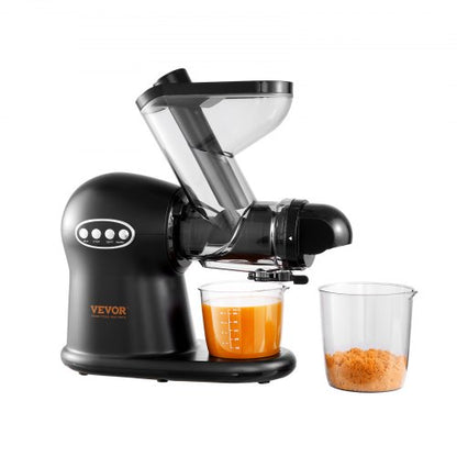 Slow Masticating Juicer, 2-Speed Mode Cold Press Juicer Machine with Reverse Function, Quiet Motor Slow Juicer, Juice Extractor Maker Easy to Clean with Brush, for High Nutrient Fruit Vegetable