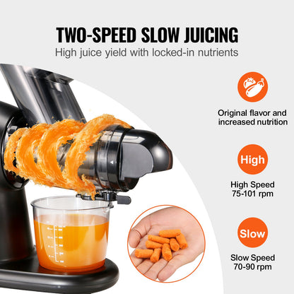 Slow Masticating Juicer, 2-Speed Mode Cold Press Juicer Machine with Reverse Function, Quiet Motor Slow Juicer, Juice Extractor Maker Easy to Clean with Brush, for High Nutrient Fruit Vegetable