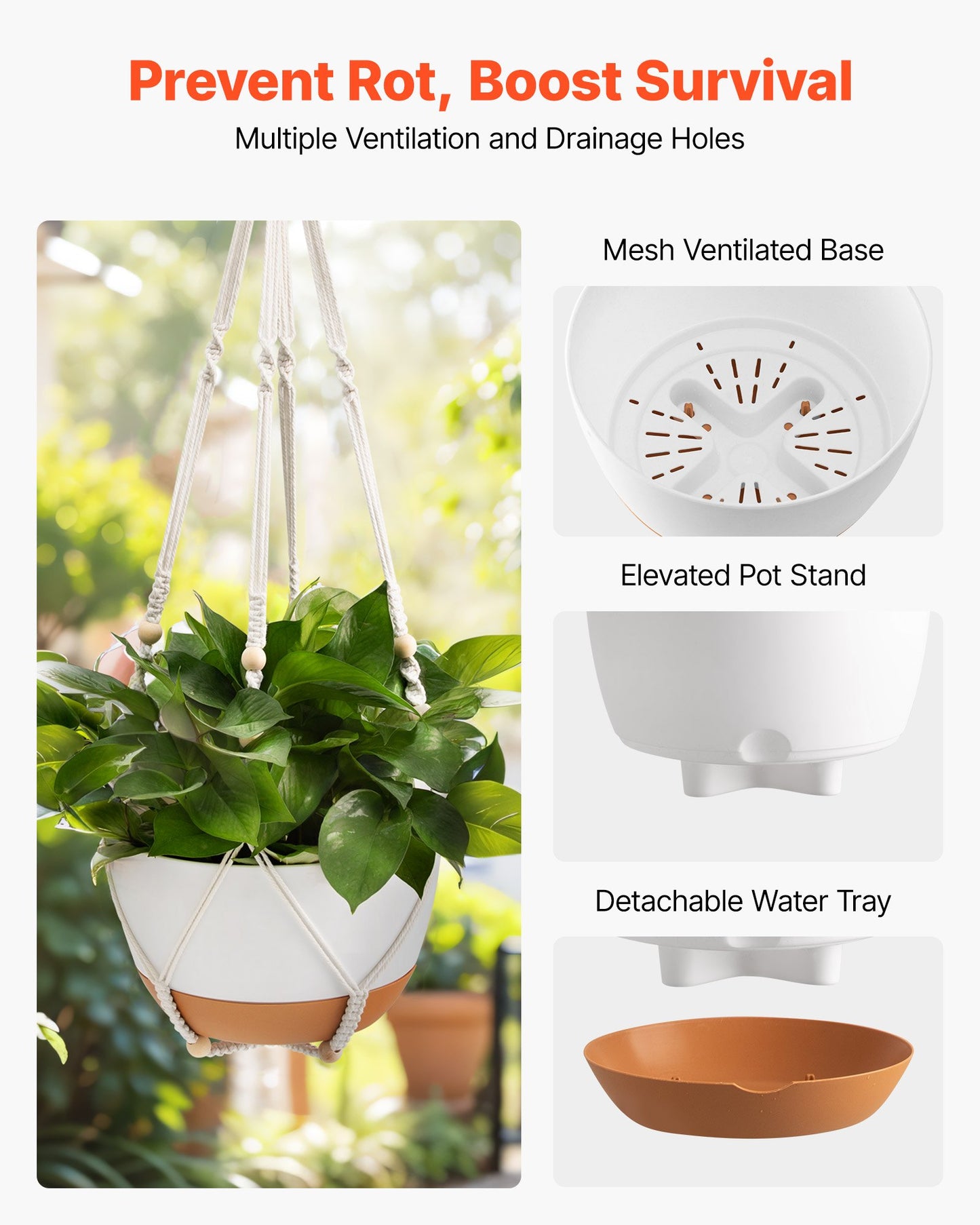 Hanging Planters, 10 Inch Self-Watering Hanging Planter, 2 Pack Flower Pots with Drainage Hole & 2 Kinds of Plant Hangers, Plastic Basket Pots, for Garden Home Decor, Indoor & Outdoor Plants