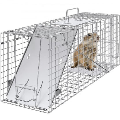 Live Animal Cage Trap, 31" x 10" x 12" Humane Cat Trap Galvanized Iron, Folding Animal Trap with Handle for Rabbits, Stray Cats, Squirrels, Raccoons, Groundhogs and Opossums