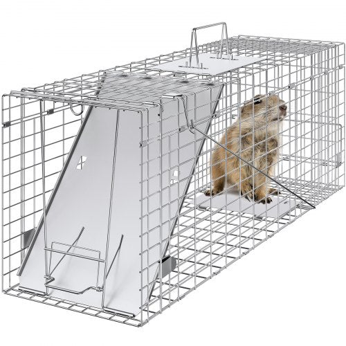 Live Animal Cage Trap, 31" x 10" x 12" Humane Cat Trap Galvanized Iron, Folding Animal Trap with Handle for Rabbits, Stray Cats, Squirrels, Raccoons, Groundhogs and Opossums