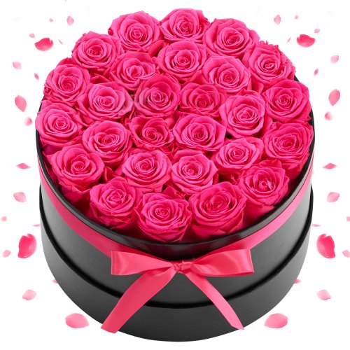 Forever Flowers, 27 Preserved Roses in a Box, Eternal Flowers Immortal Bouquet Birthday Present for Delivery Prime Women Her Wife Mothers, Anniversary, Valentine's Day,Christmas, Rose Red