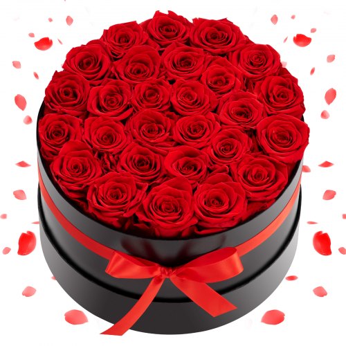 Forever Flowers, 27 Preserved Roses in a Box, Eternal Flowers Immortal Bouquet Birthday Present for Delivery Prime Women Her Wife Mothers, Anniversary, Valentine's Day,Christmas, Red