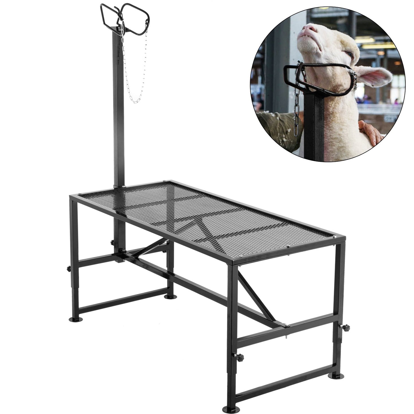Livestock stand 51x23 inch, straight head trimming stand, goat shearing stand metal stand Sheep shearing stand for livestock trimming stand