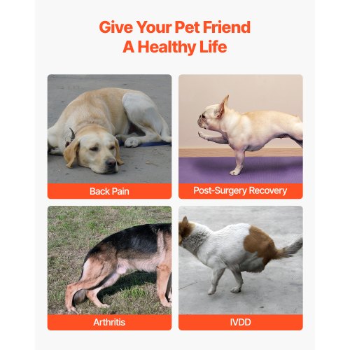 Back Support for Dogs Adjustable Back Support Harness for Dogs for Pain Relief in IVDD | EU