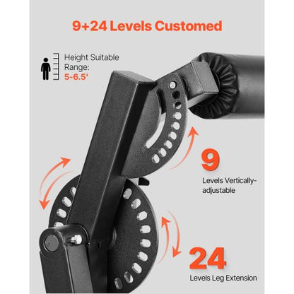 Benförlängnings- och böjningsmaskin för underkroppen, specialbänk för benträning, gym |  EU