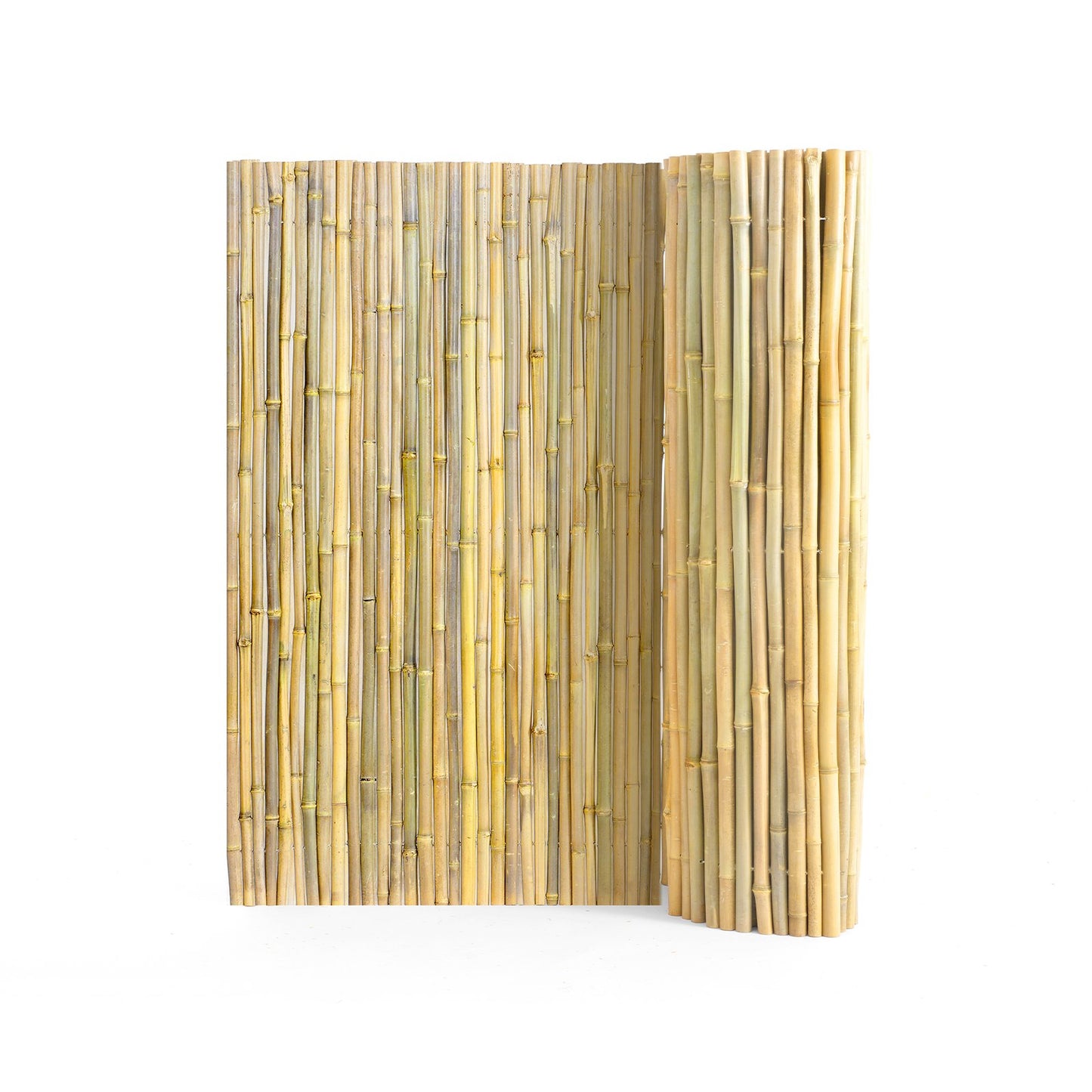 Natural Rolled Bamboo staket Bamboo Panel 4 ft H x 8 ft L x 0,75 in D.