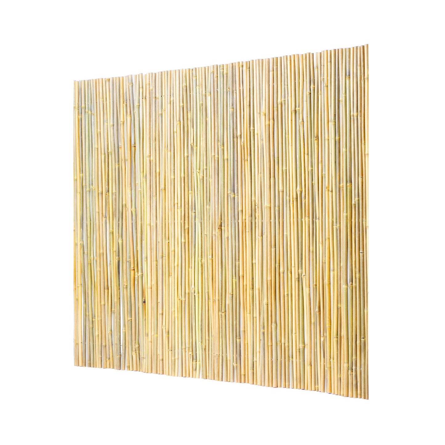 Natural Rolled Bamboo staket Bamboo Panel 4 ft H x 8 ft L x 0,75 in D.