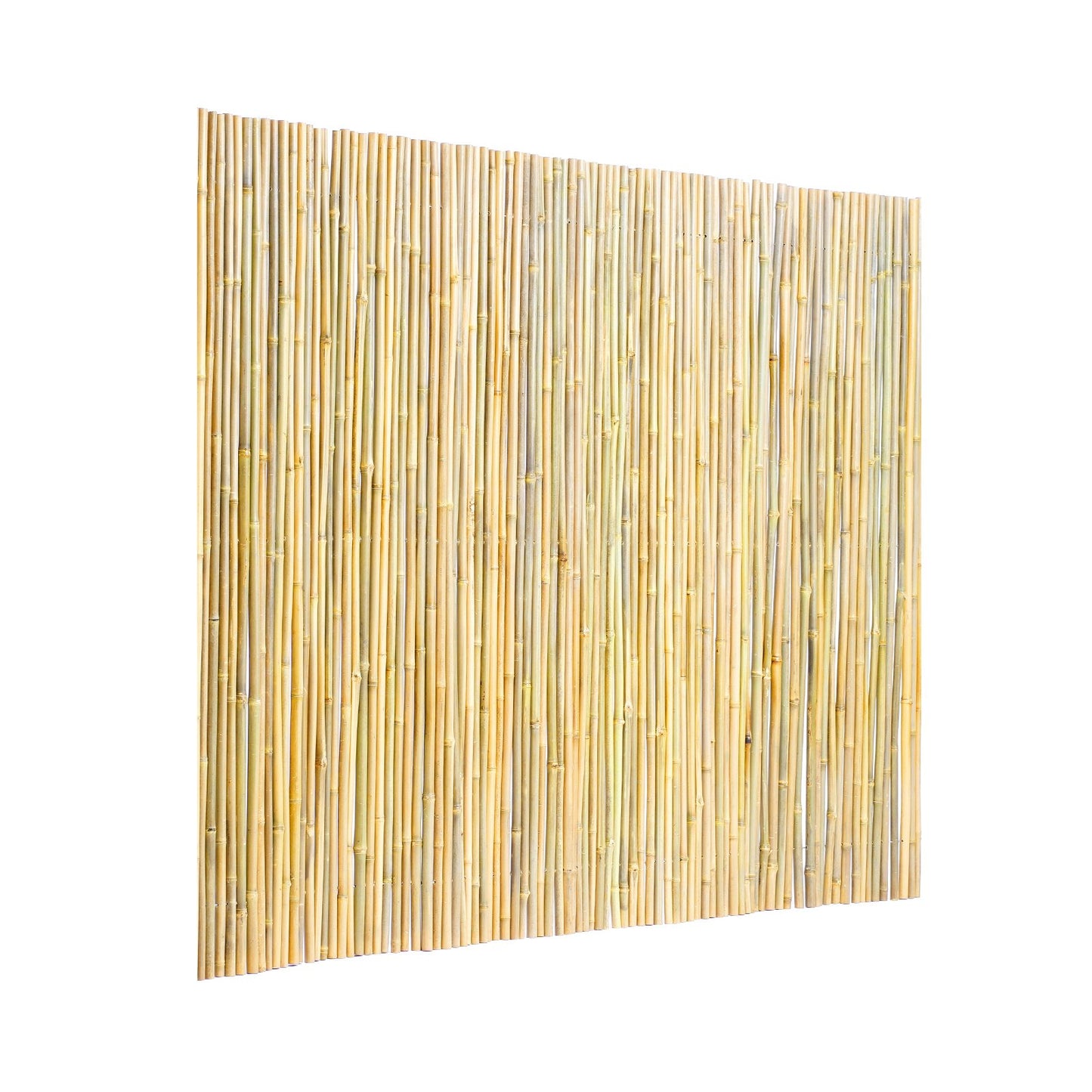 Natural Rolled Bamboo staket Bamboo Panel 4 ft H x 8 ft L x 0,75 in D.