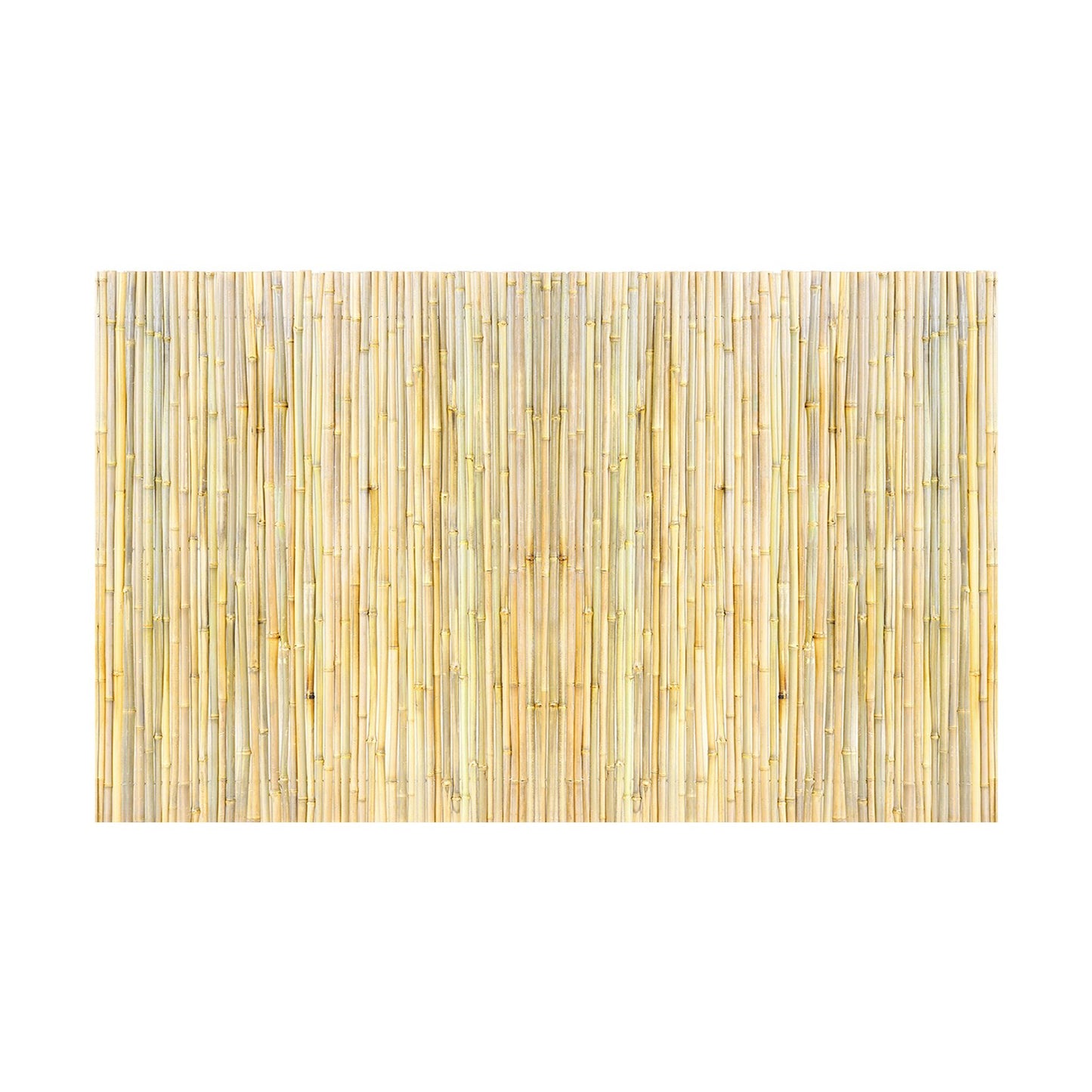 Natural Rolled Bamboo staket Bamboo Panel 4 ft H x 8 ft L x 0,75 in D.