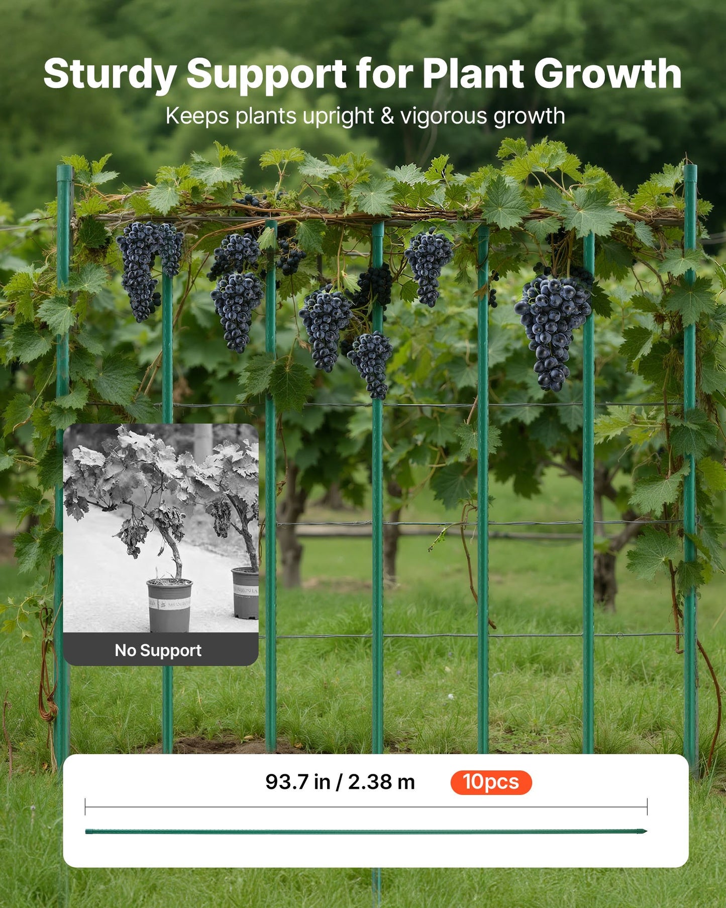 Garden Stakes, 10 Pack, 93.7 inch, Plastic Coated Metal Tomato Stakes, Garden Sticks for Plants Support, with Pointed End and Non-Slip Bumps for Growing Climbing Plants, Outdoor Vegetables